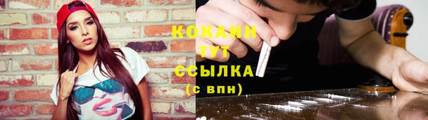 индика Беломорск