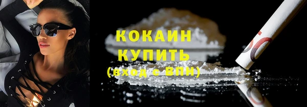 сатива Богданович