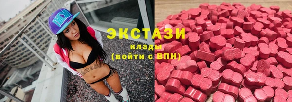 индика Беломорск