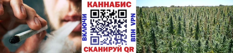Каннабис тримм мега маркетплейс Болгар
